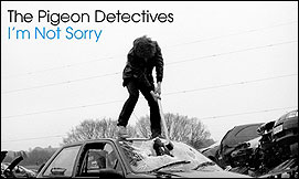 The Pigeon Detectives-I'm Not Sorry