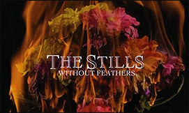 The Stills  Without Feathers